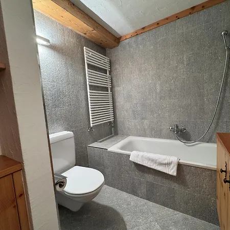 Chesa Grischuna - Lägenhet Madulain